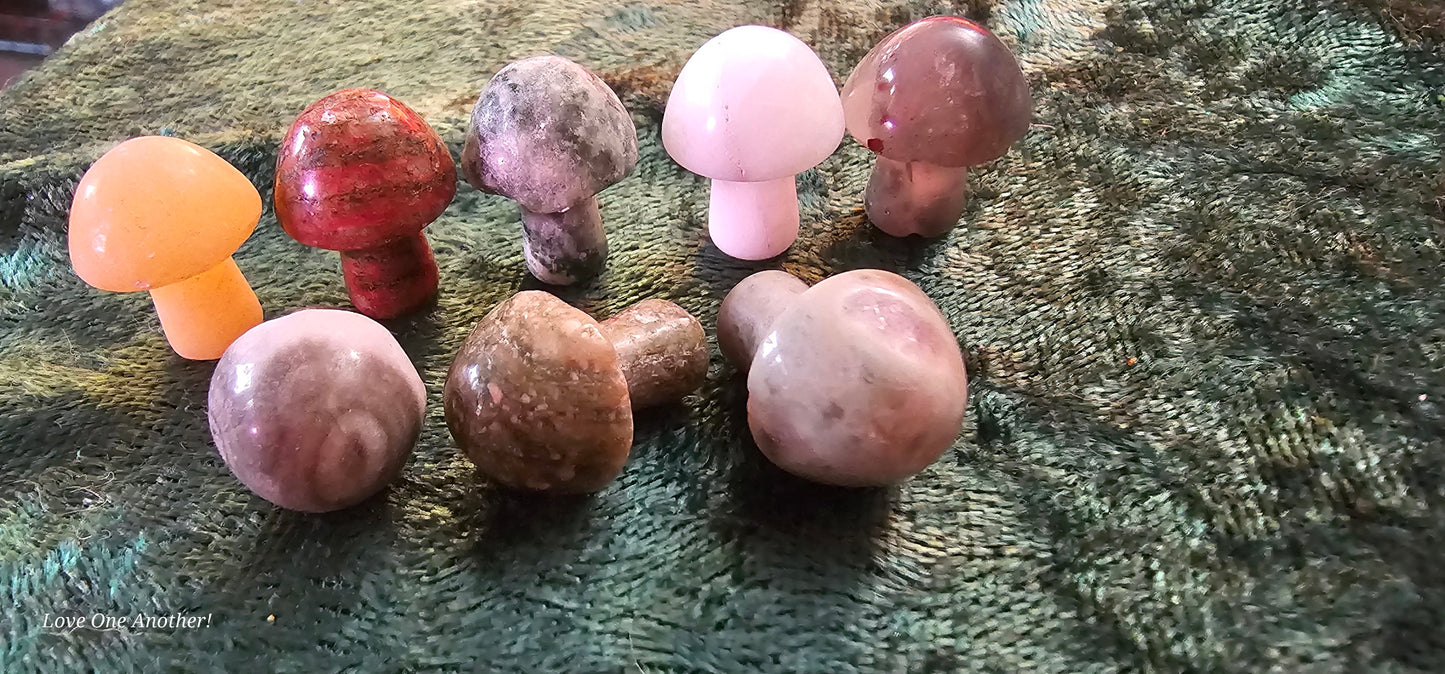 Tiny Natural Stone Mushrooms